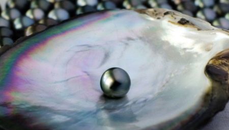 Black pearls: properties, where are they mined and for whom is it suitable?