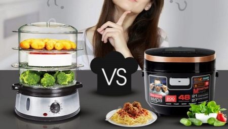 Which is better: a steamer or a multicooker?