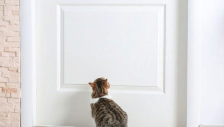 What can be done to prevent cats from marking the front door?