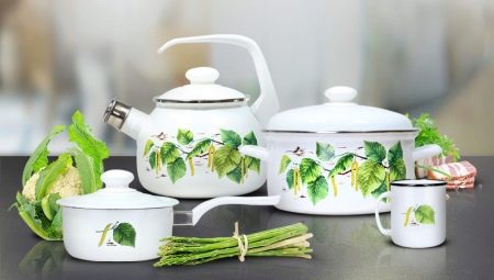 Enameled dishes: the best manufacturers, selection criteria