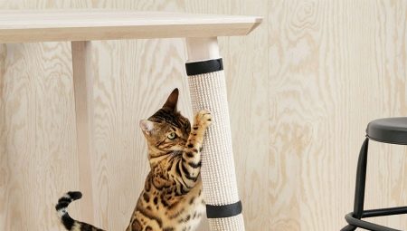 How to wean a cat from tearing wallpaper?