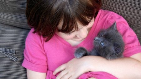 How to raise a kitten correctly?