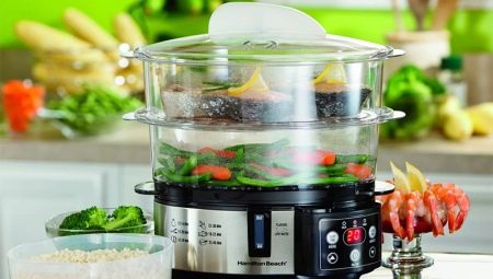 How to choose the right steamer?