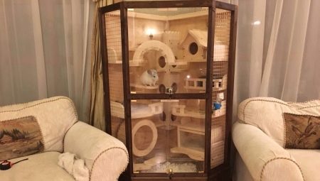 How to make a showcase for a chinchilla with your own hands?
