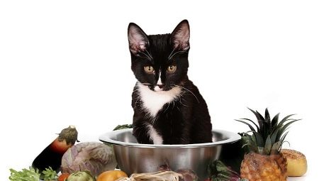 How to Choose Vegetarian and Vegan Cat Foods?