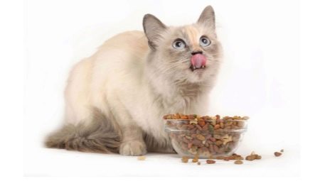Holistic food for neutered cats