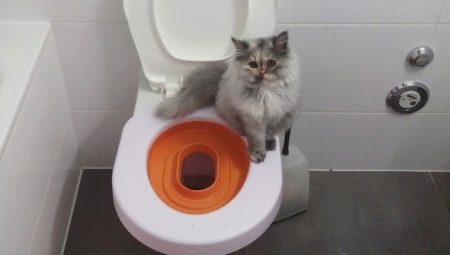 Toilet Covers for Cats