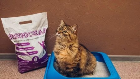 Flush-down Cat Litter Fillers