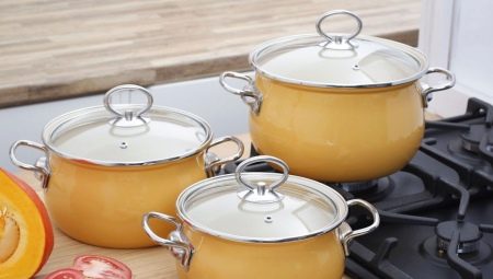 German casseroles: pros, cons and manufacturers' review