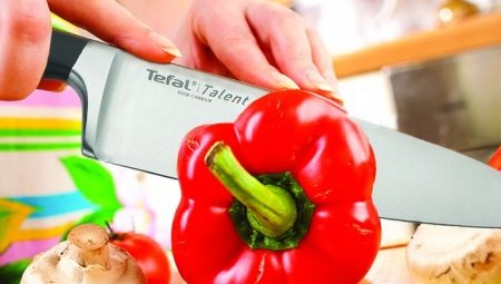 Tefal knives: features and model overview