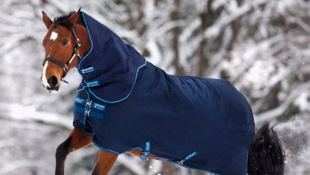 Horse blanket: functions and varieties