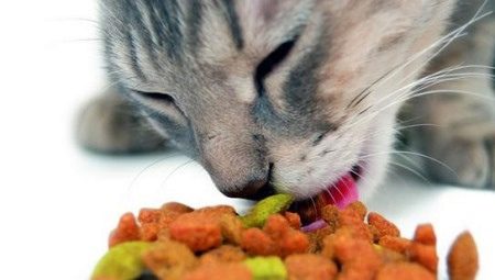 Cat food rating