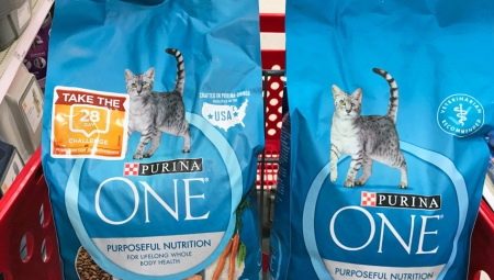 Tips for Choosing Hypoallergenic Dry Cat Food