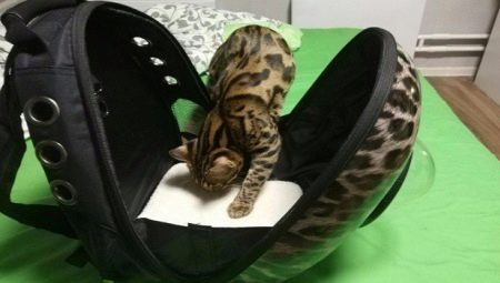 플라스틱 고양이 캐리어 선택을 위한 팁
