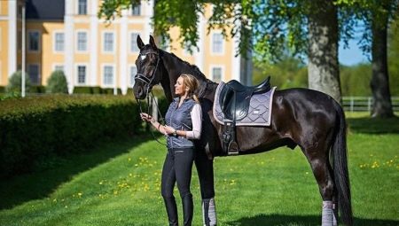 All about saddle cloth