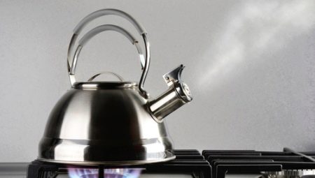 Stainless steel kettles for gas stoves: rating of the best models and selection