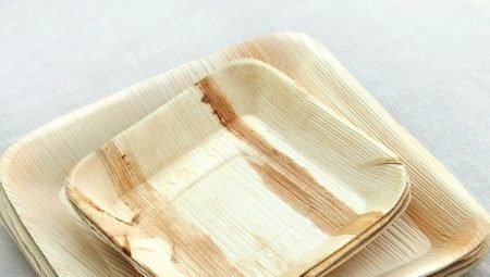 Eco-dishes: features, types and selection criteria