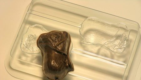 Forms for chocolate: what are there and how to choose them?