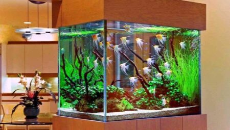 Plantes artificielles pour aquarium : utilisations, avantages et inconvénients