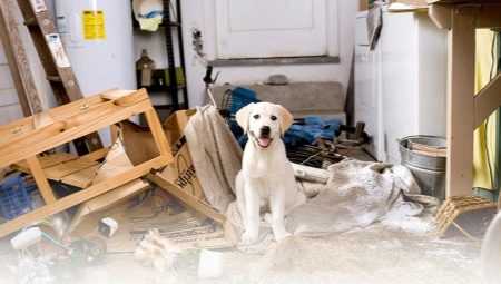 How to stop a dog from chewing on everything?