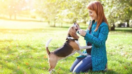 How to choose a nickname for a boy-dog?