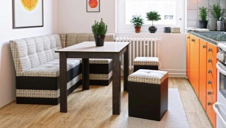 Small sofas with a sleeping place for the kitchen: what are they and how to choose them?