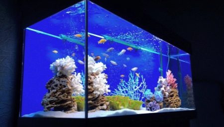 Is it possible to turn off the filter in the aquarium at night and for what reasons?