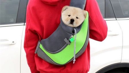 Carrier backpack for dogs: description, selection criteria and use