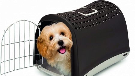 Carriers for dogs: purpose and types
