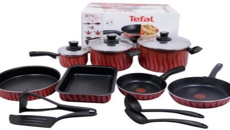Tefal cookware: variety of models