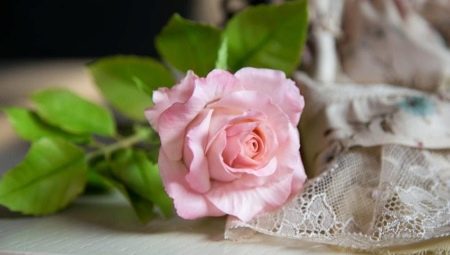 Cold porcelain roses: manufacturing features