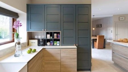 Cabinets-cases for the kitchen: varieties and selection criteria