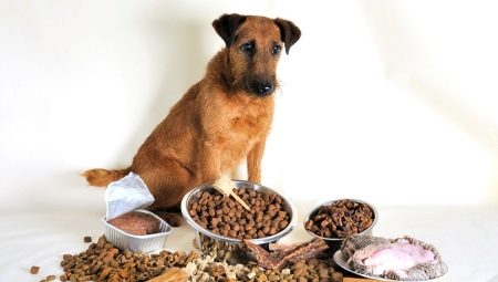 Premium dry food for dogs