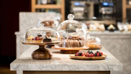 Plates with a lid: features of claws and rams, tips for choosing them