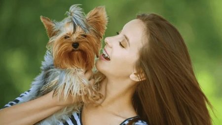 Espèce de terrier