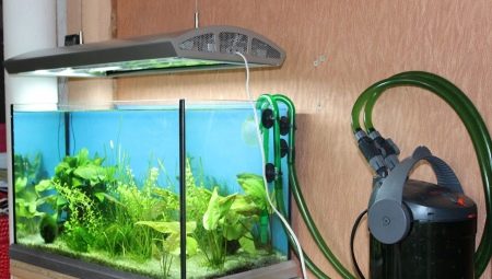 External filters for the aquarium: design, selection and installation