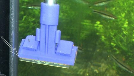 Choosing a scraper for an aquarium