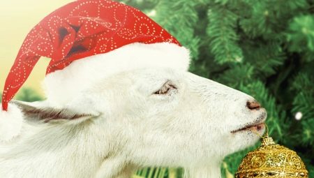 1991 - the year of which animal and what does it carry?