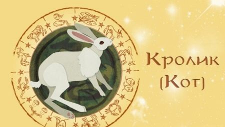 1999 - the year of which animal and what does it mean?