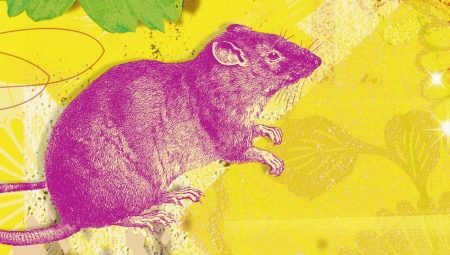 2008 - the year of which animal and what does it mean?