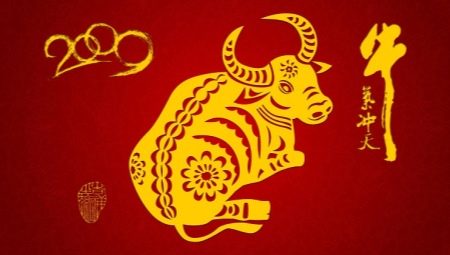 2009 - the year of which animal and what does it mean?
