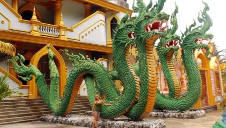 2024 - the year of which animal and what does it mean?