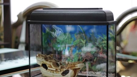 10 l aquariums: varieties, selection, equipment and maintenance