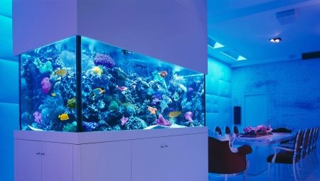 Aquariums for 300 liters: dimensions, selection and equipment