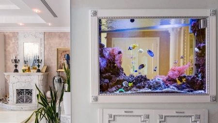 Wall aquariums: varieties and design recommendations
