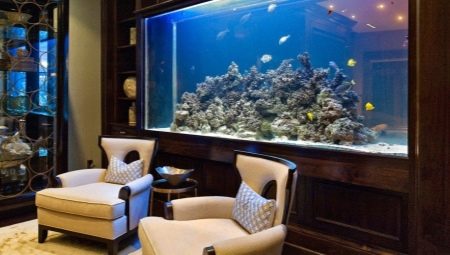 Grands aquariums : comment lancer et concevoir ?
