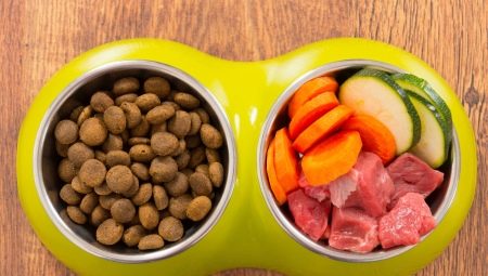 Which is better: natural or dry dog food?