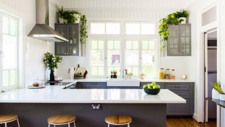Flowers for the kitchen: purpose, varieties, selection and placement