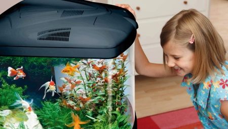 Children's aquariums: varieties, selection, settlement