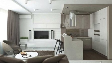 Kitchen studio design 20 sq. m